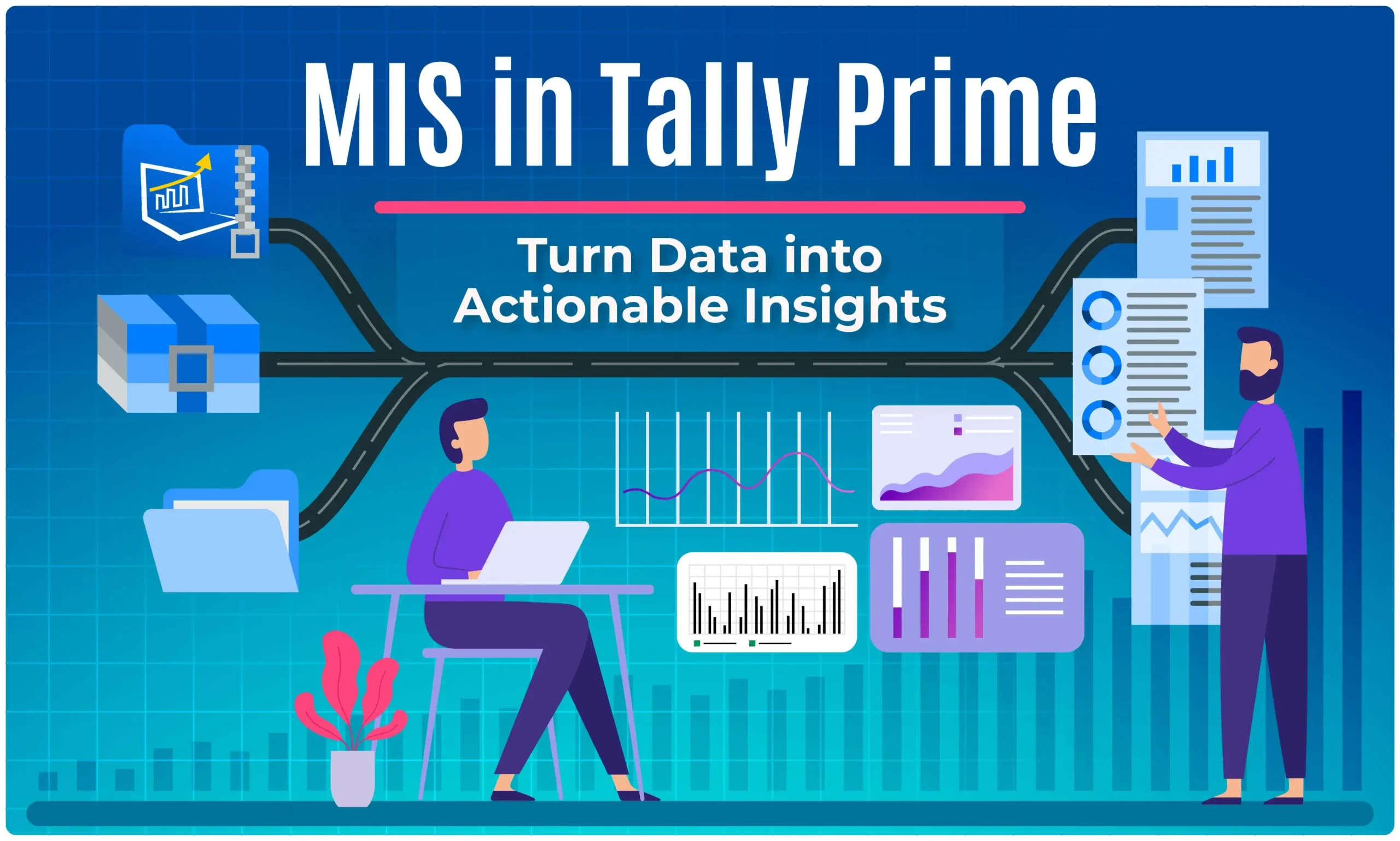 MIS in Tally Prime: Turn Data into Actionable Insights